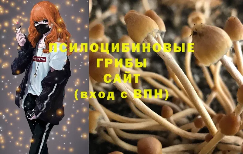 Псилоцибиновые грибы MAGIC MUSHROOMS  kraken зеркало  Майский 